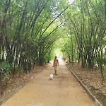 Home2book Cozy Cruz Urban Center 公寓 圣克鲁斯-德特内里费